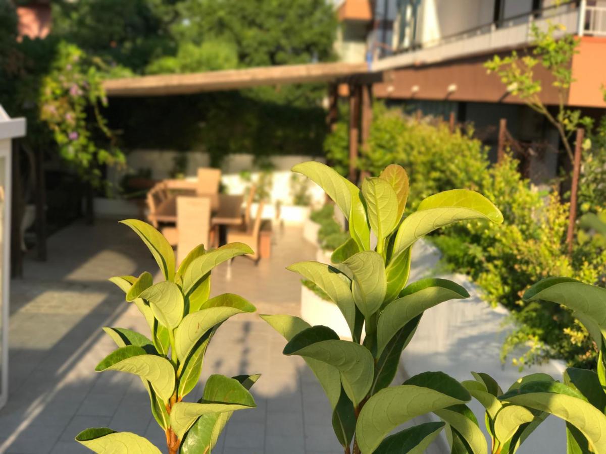 里波斯托Path House - Etna & Sea View公寓式酒店 外观 照片